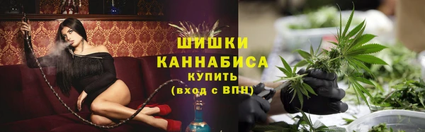 шишки Баксан