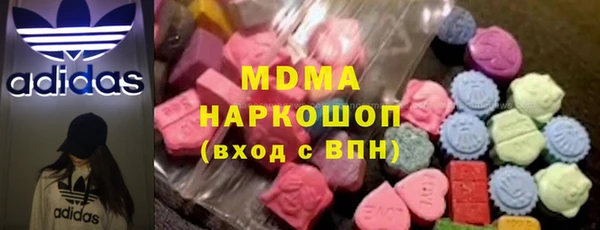 хмурый Аркадак