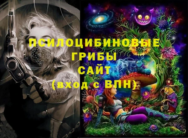 хмурый Аркадак