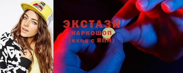 хмурый Аркадак