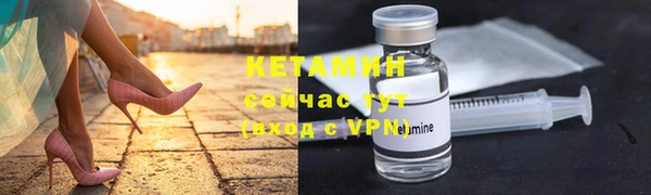 хмурый Аркадак