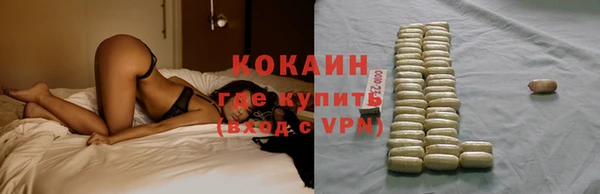 гашик Балахна