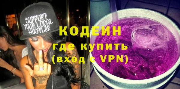 хмурый Аркадак