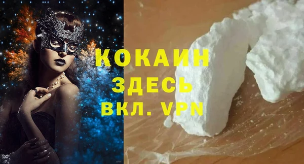шишки Баксан