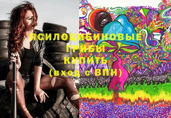 гашик Балахна