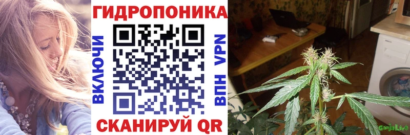 купить наркоту Палласовка Конопля сатива